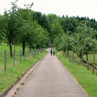 IMG_0511