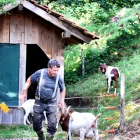 IMG_0515-1